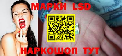 гидра Новодвинск