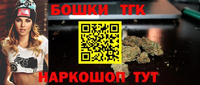 гидра Новодвинск