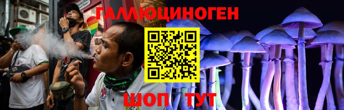 Псилоцибиновые грибы MAGIC MUSHROOMS Алатырь