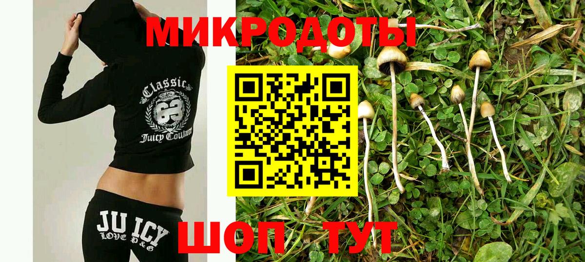 Галлюциногенные грибы мухоморы  Вход с VPN  купить наркотик  Алатырь 